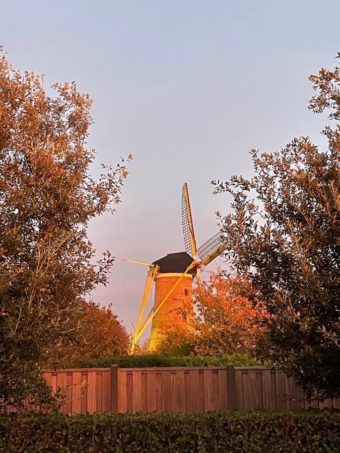 Gastenverblijf Bij De Buuren Dirksland エクステリア 写真