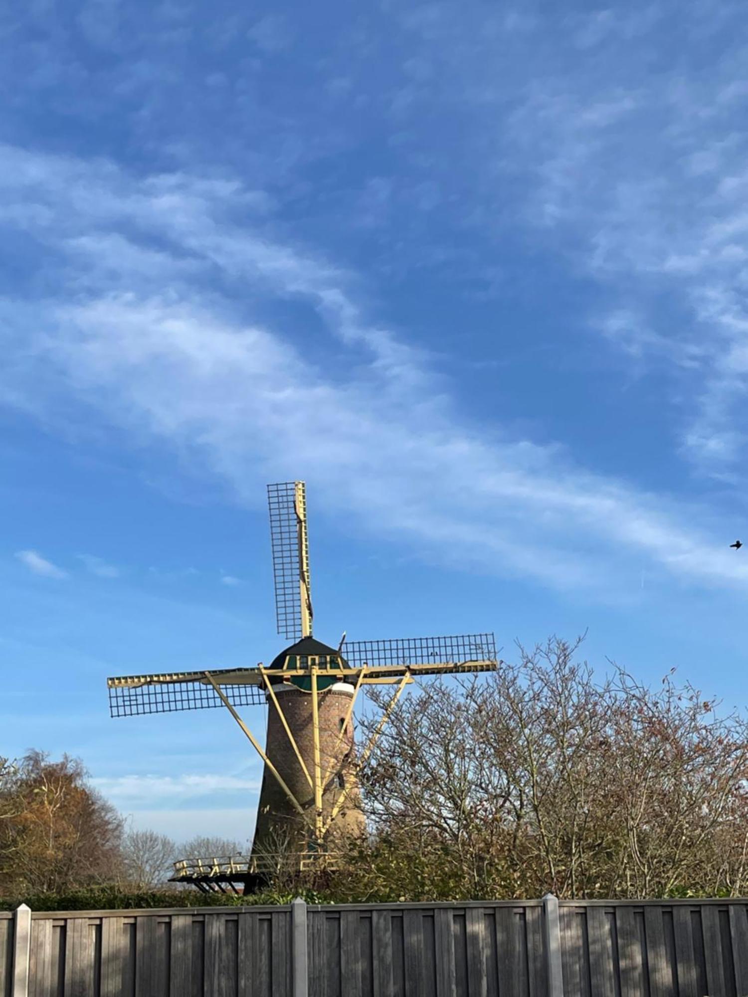 Gastenverblijf Bij De Buuren Dirksland エクステリア 写真